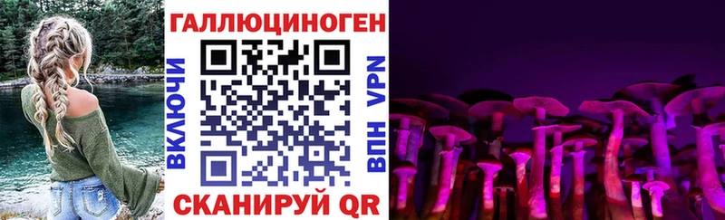 что такое   Павловск  Псилоцибиновые грибы Psilocybe 