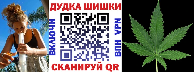 Канабис конопля Павловск